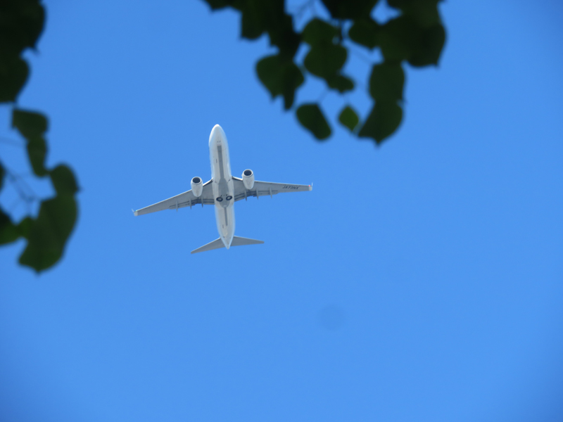 f:id:ryoen001:20211007053933j:plain