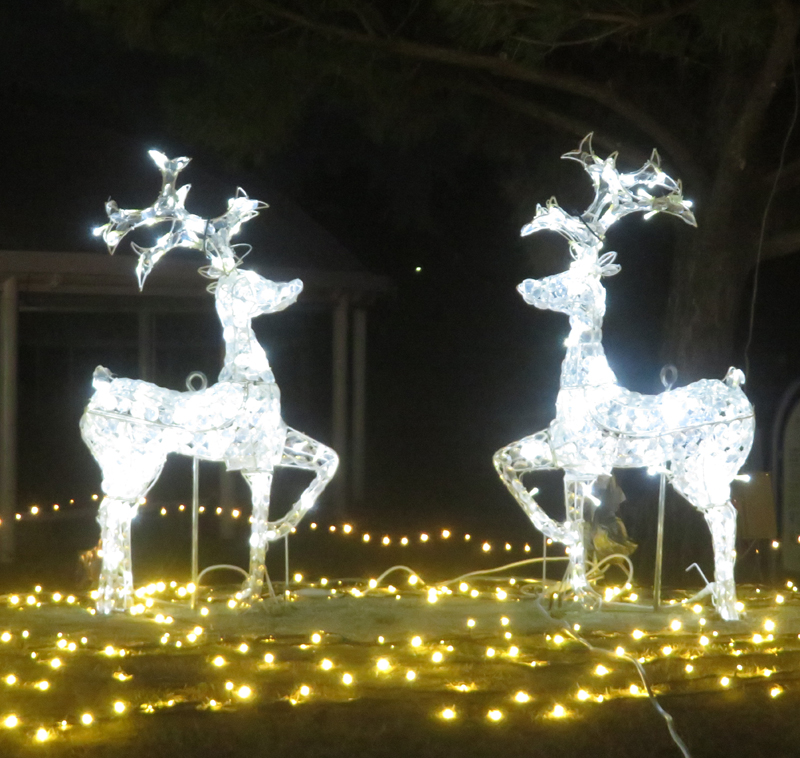 f:id:ryoen001:20211219082713j:plain