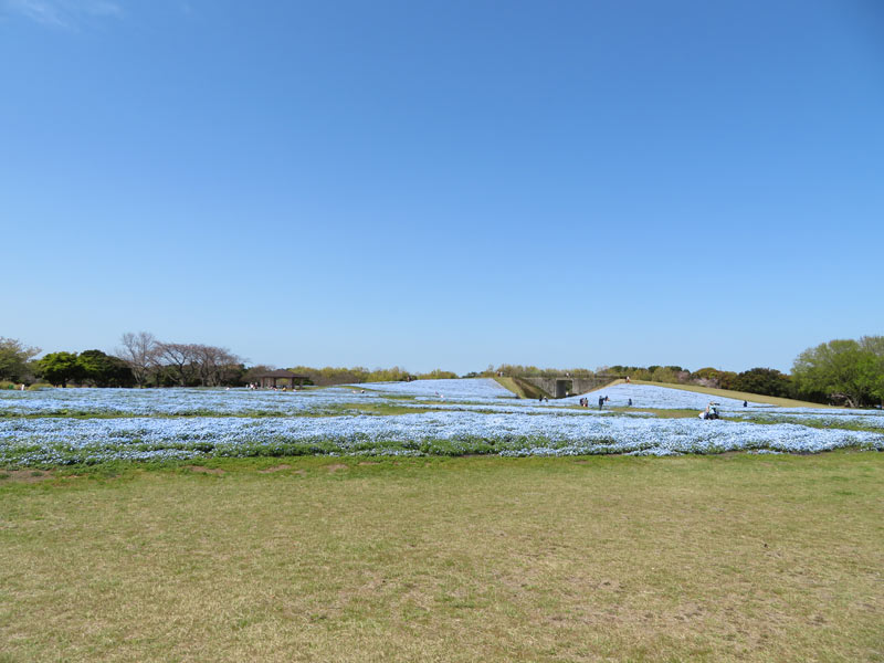 f:id:ryoen001:20220407054942j:plain