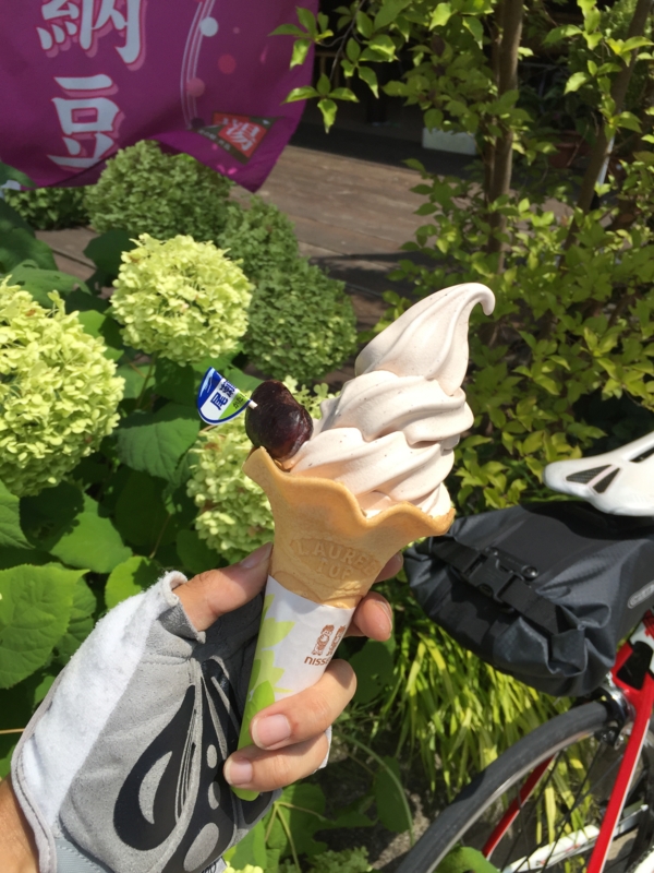 f:id:ryoh_tenten:20160813105301j:image:w360