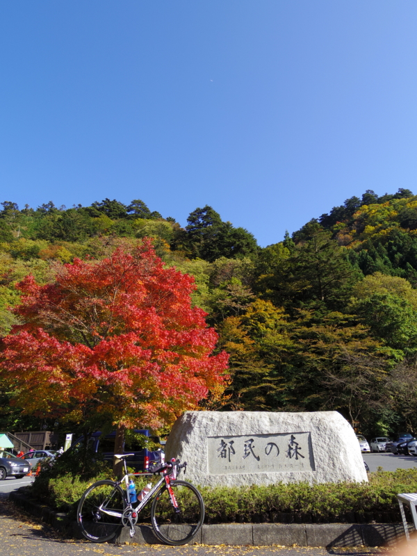 f:id:ryoh_tenten:20161106091432j:image:w360