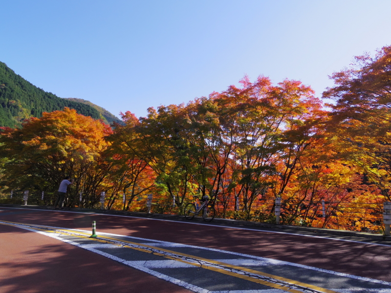 f:id:ryoh_tenten:20161106100823j:image:w360