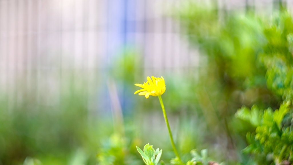 f:id:ryohagiw:20180708115838j:plain f:id:ryohagiw:20180708115838j:plain