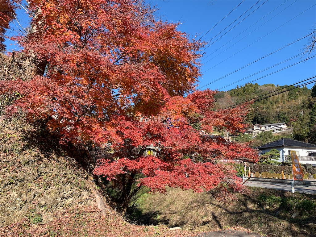f:id:ryohei-n-0817:20191208212408j:image f:id:ryohei-n-0817:20191208212408j:image