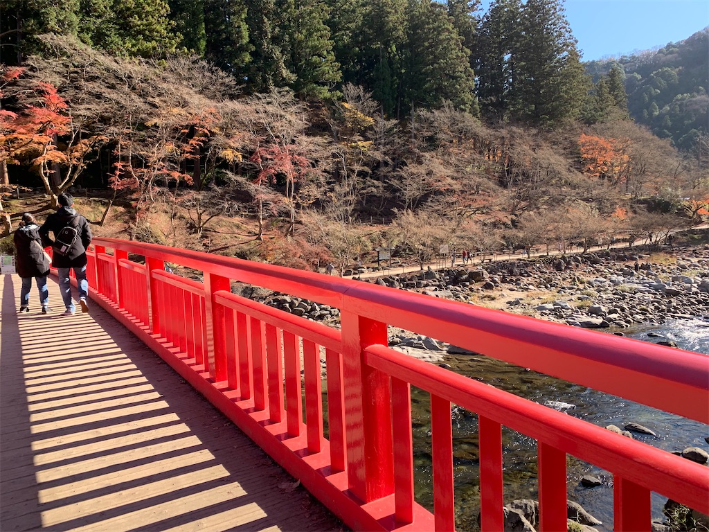 f:id:ryohei-n-0817:20191208212415j:image f:id:ryohei-n-0817:20191208212415j:image