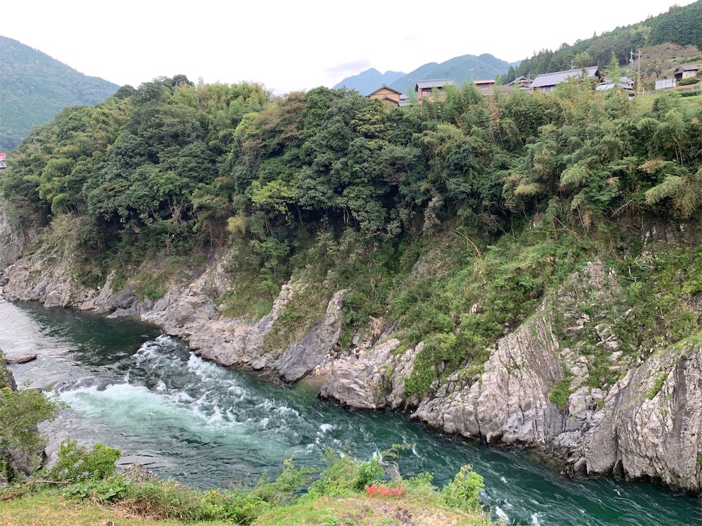 f:id:ryohei-n-0817:20201004205229j:image f:id:ryohei-n-0817:20201004205229j:image