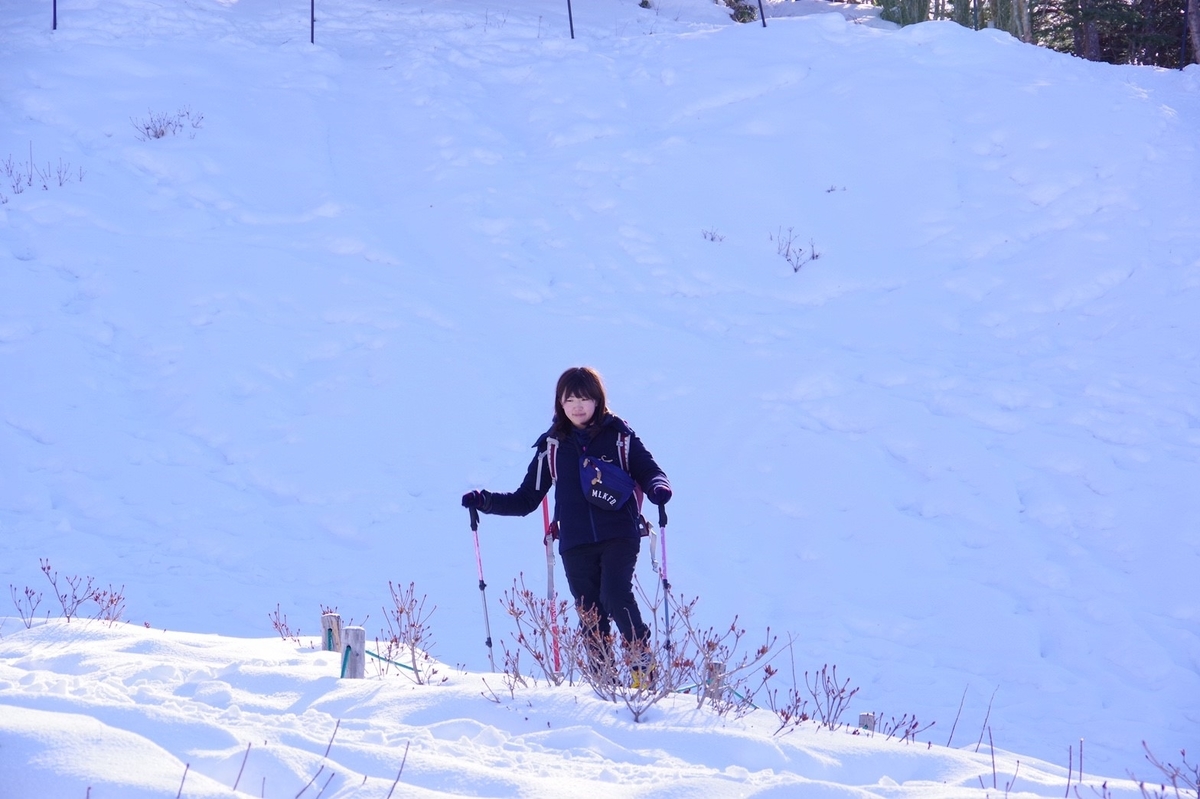 f:id:ryoheis490:20191124114316j:plain f:id:ryoheis490:20191124114316j:plain