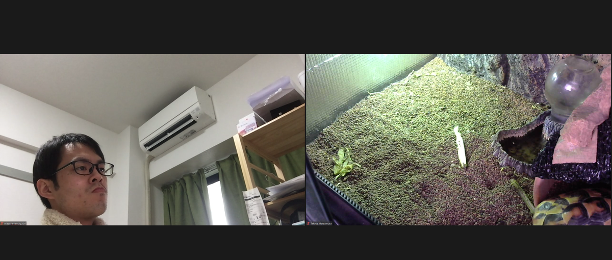 f:id:ryoheyc:20220406170931p:plain:w400