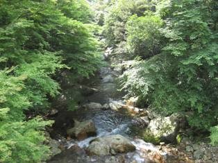 f:id:ryohjit:20110801094235j:image f:id:ryohjit:20110801094235j:image