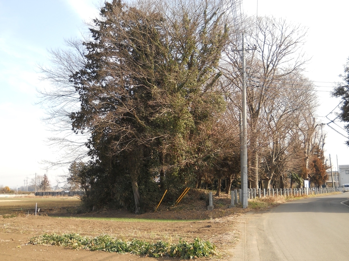 f:id:ryoji20:20201122155042j:plain