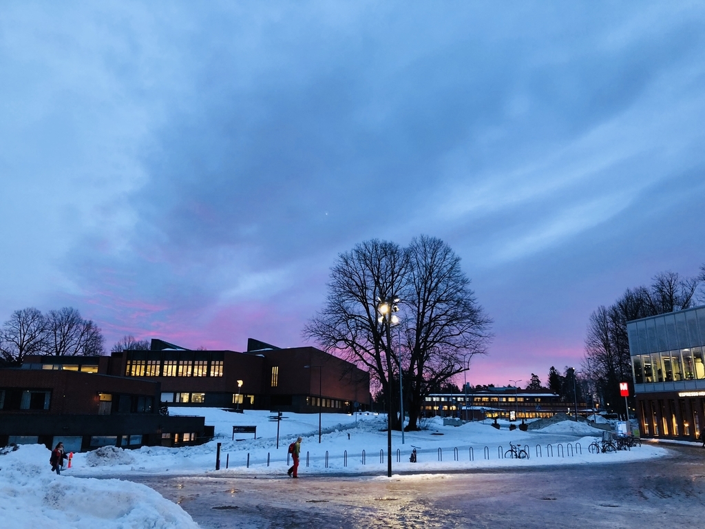 Industry Project Week 1 5 アールト大学 Idbm留学日記