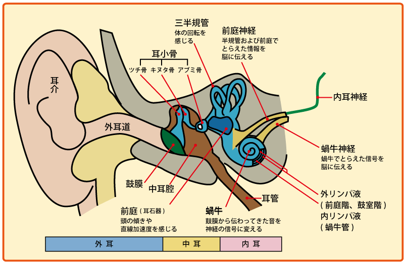 f:id:ryok-kobayashi:20200727200300g:plain