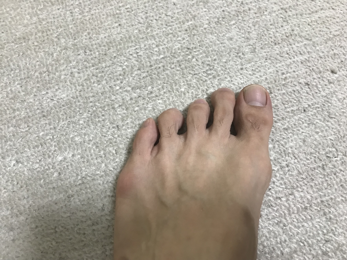 f:id:ryoko-odekake:20190616215019j:plain
