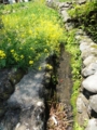 20100502124453