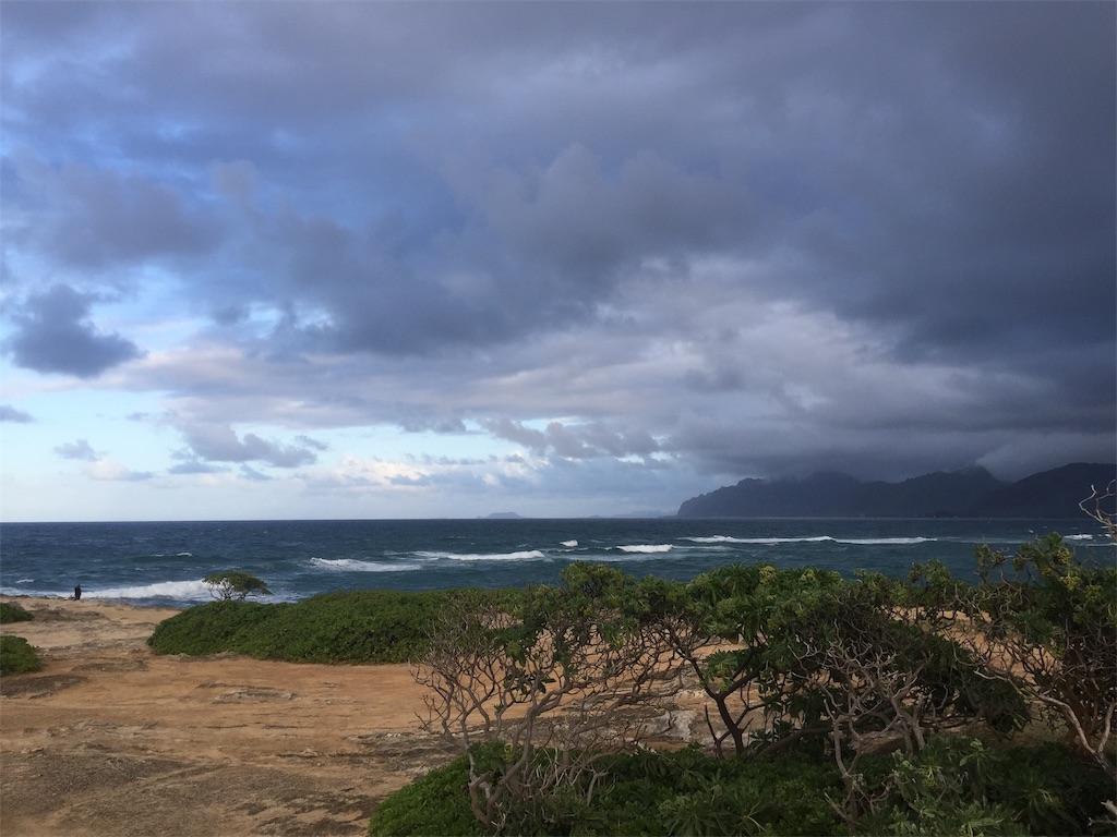 f:id:ryokobonafede:20191114173611j:image f:id:ryokobonafede:20191114173611j:image