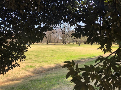 f:id:ryokobonafede:20200315162330j:image f:id:ryokobonafede:20200315162330j:image