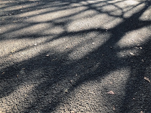 f:id:ryokobonafede:20201215111801j:image f:id:ryokobonafede:20201215111801j:image