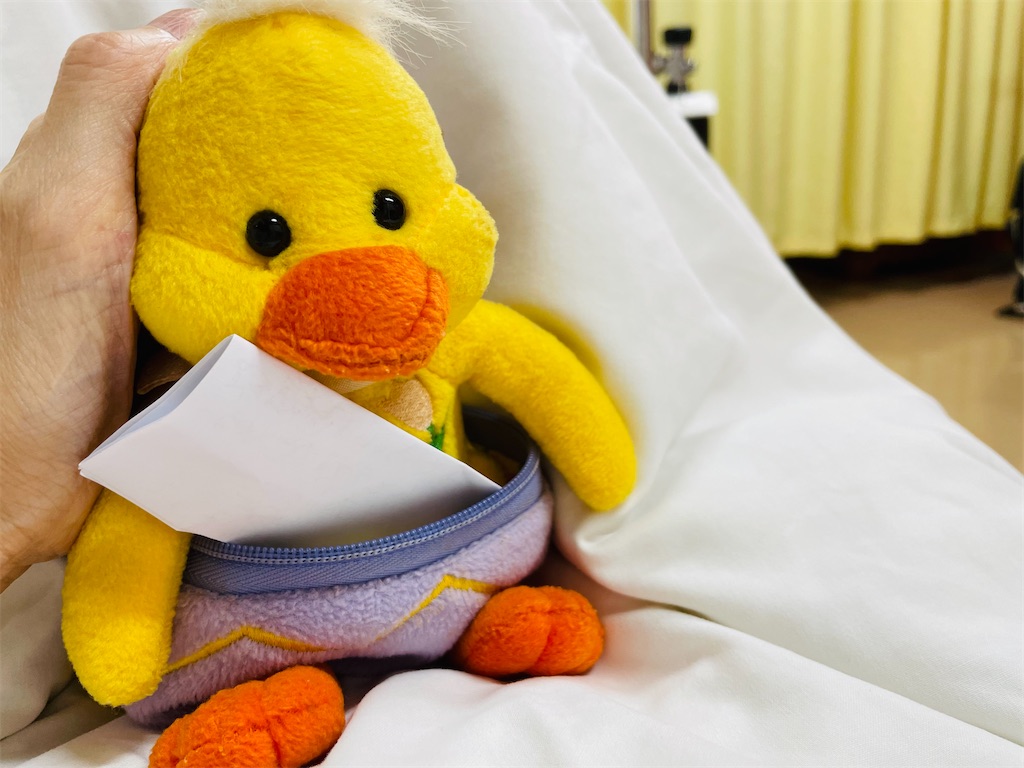 f:id:ryokobonafede:20210619224323j:image