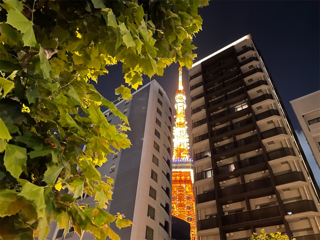 f:id:ryokobonafede:20210621200610j:image f:id:ryokobonafede:20210621200610j:image