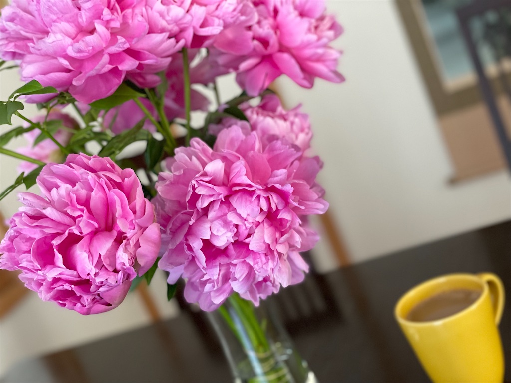 f:id:ryokobonafede:20210622233530j:image f:id:ryokobonafede:20210622233530j:image