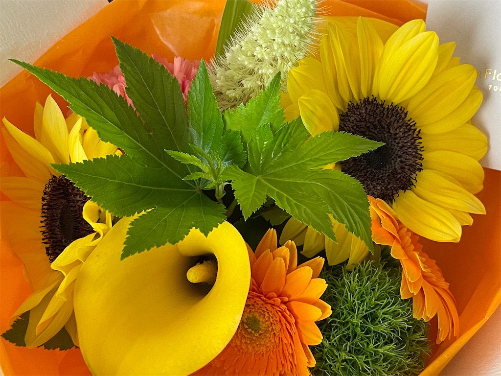 f:id:ryokobonafede:20210625203609j:plain