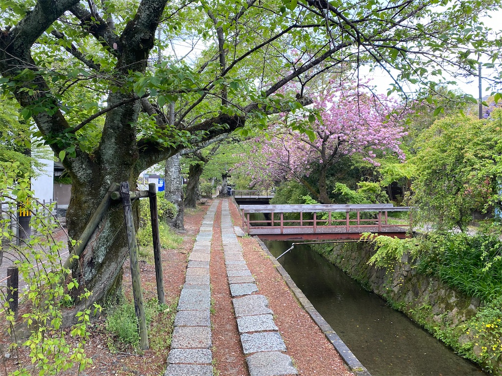 f:id:ryokoudaisukix:20200507220842j:image f:id:ryokoudaisukix:20200507220842j:image