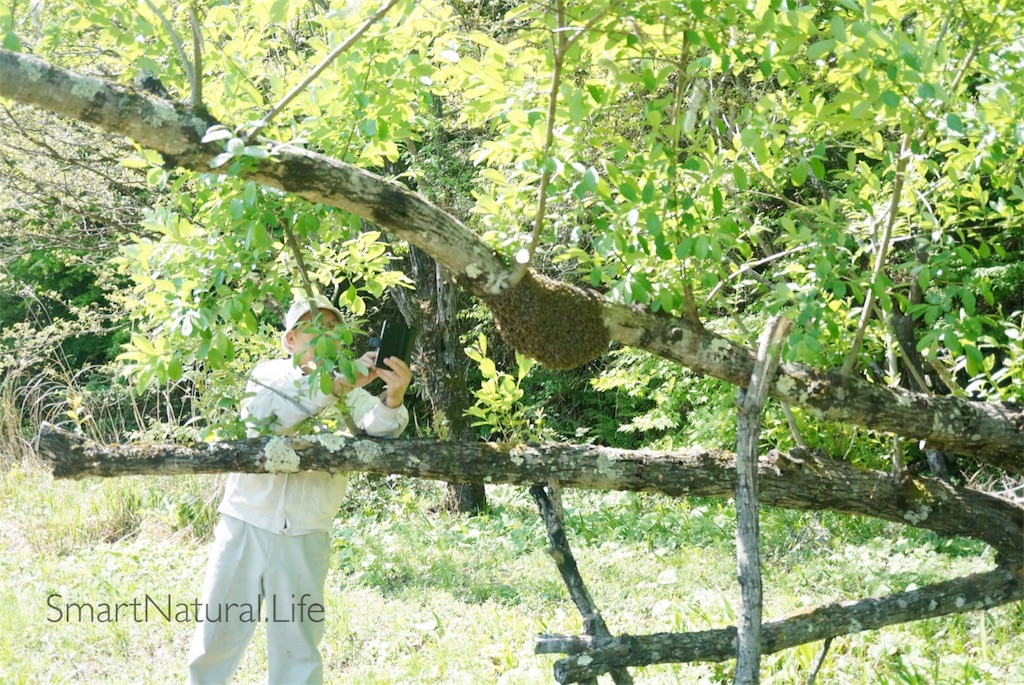 f:id:ryokoueda:20180505110643j:plain f:id:ryokoueda:20180505110643j:plain