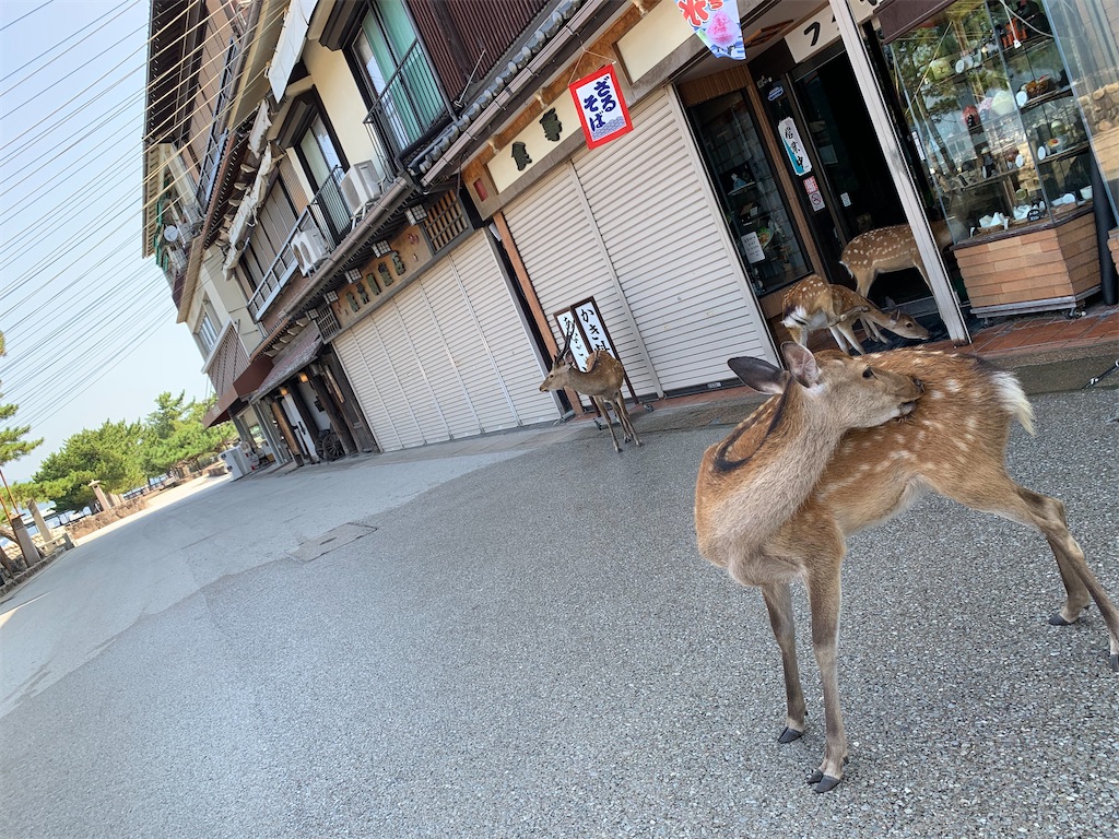 f:id:ryokoutakusan:20200823223353j:image f:id:ryokoutakusan:20200823223353j:image