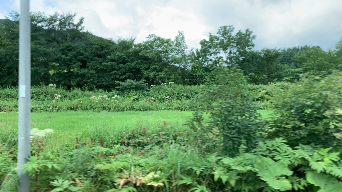 f:id:ryokoutakusan:20200907222923j:plain