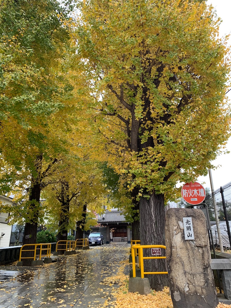 f:id:ryokoutakusan:20201206014837j:image f:id:ryokoutakusan:20201206014837j:image