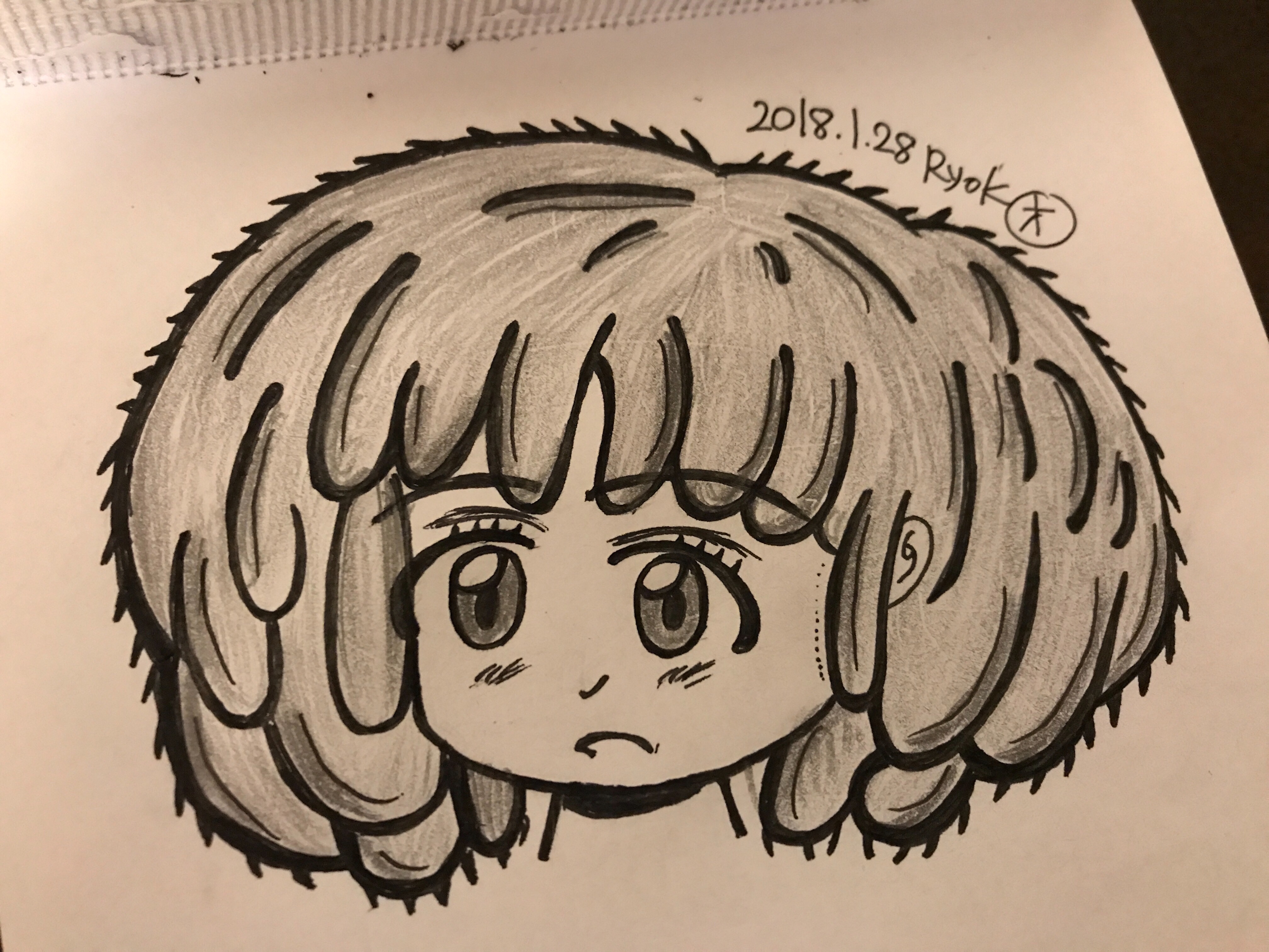 f:id:ryokryok:20180128025336j:image:w350