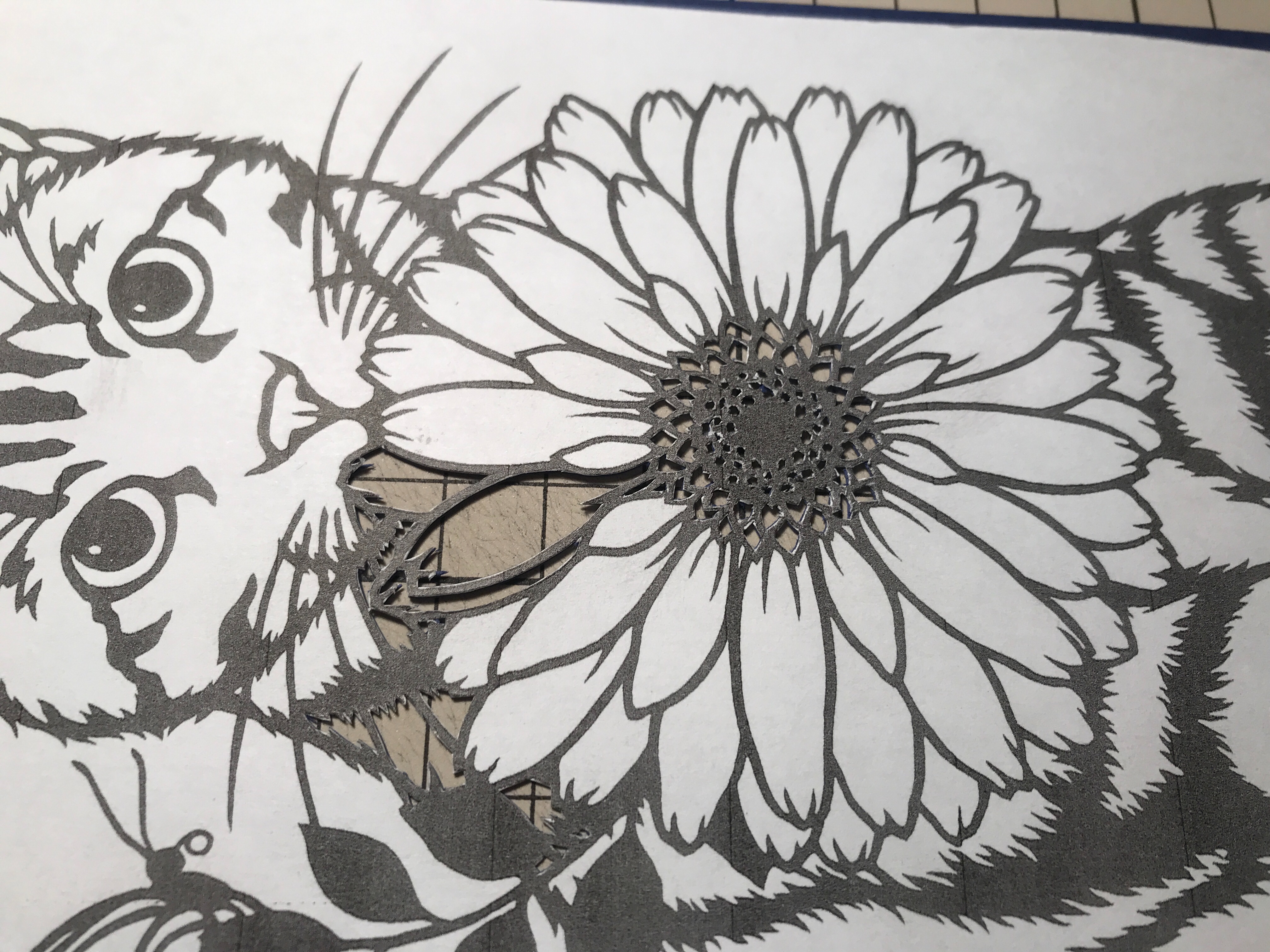 f:id:ryokryok:20200216215742j:image:w350