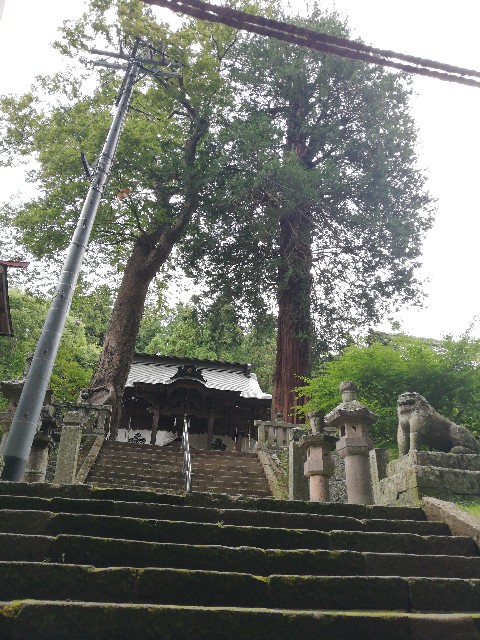 f:id:ryokuan:20210901153851j:image f:id:ryokuan:20210901153851j:image