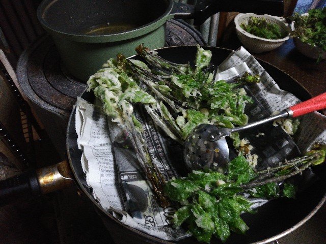 f:id:ryokuan:20220510182836j:image