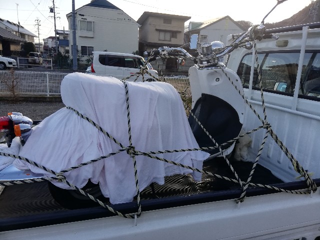 f:id:ryokuan:20250113210926j:image