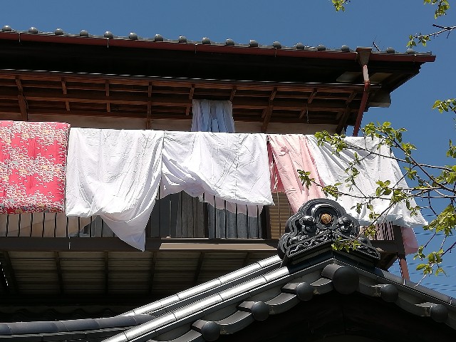 f:id:ryokuan:20260509165539j:image