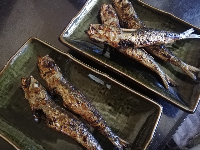 f:id:ryokuan:20260512100232j:image