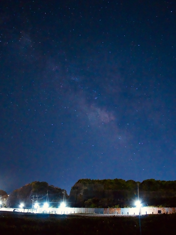 f:id:ryokuchayurai:20210412122934j:plain
