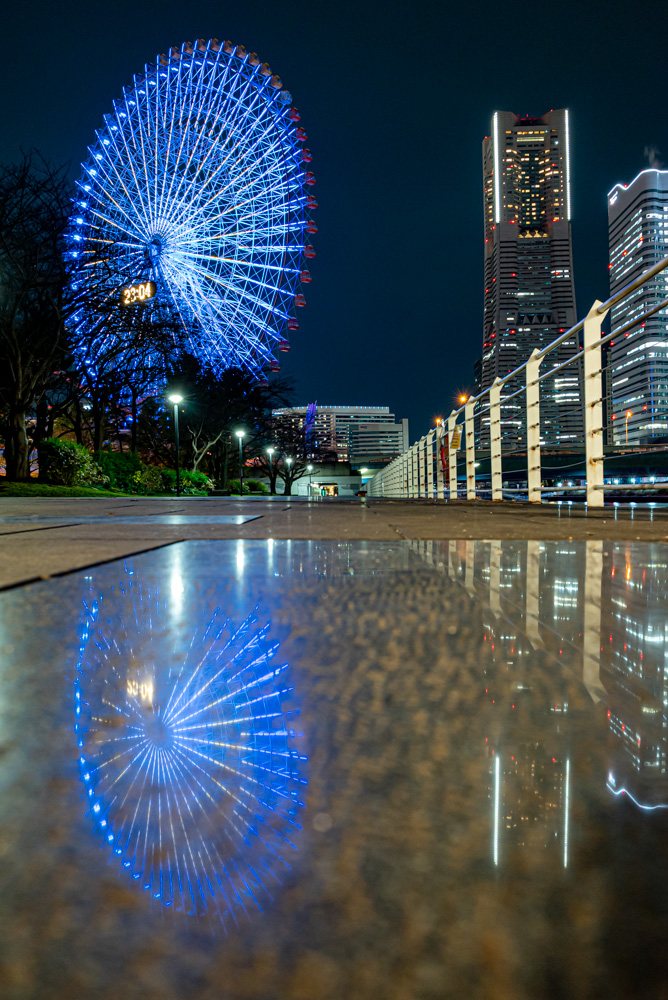 f:id:ryokuchayurai:20211217091239j:plain