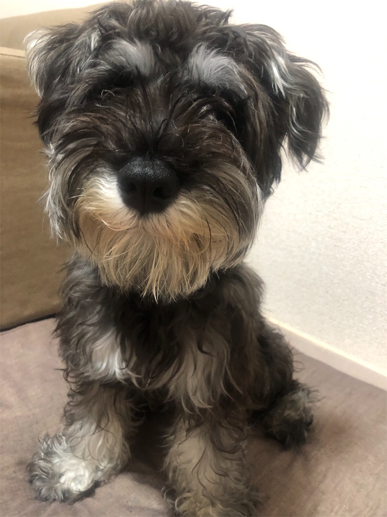 f:id:ryomakoshikumo:20190703004524j:image f:id:ryomakoshikumo:20190703004524j:image