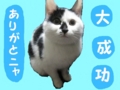 20100524121446