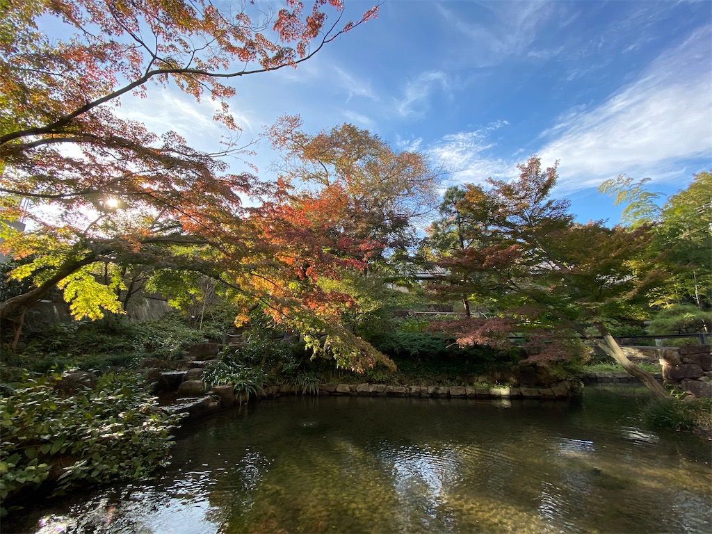 f:id:ryorx1104:20191214123040j:image