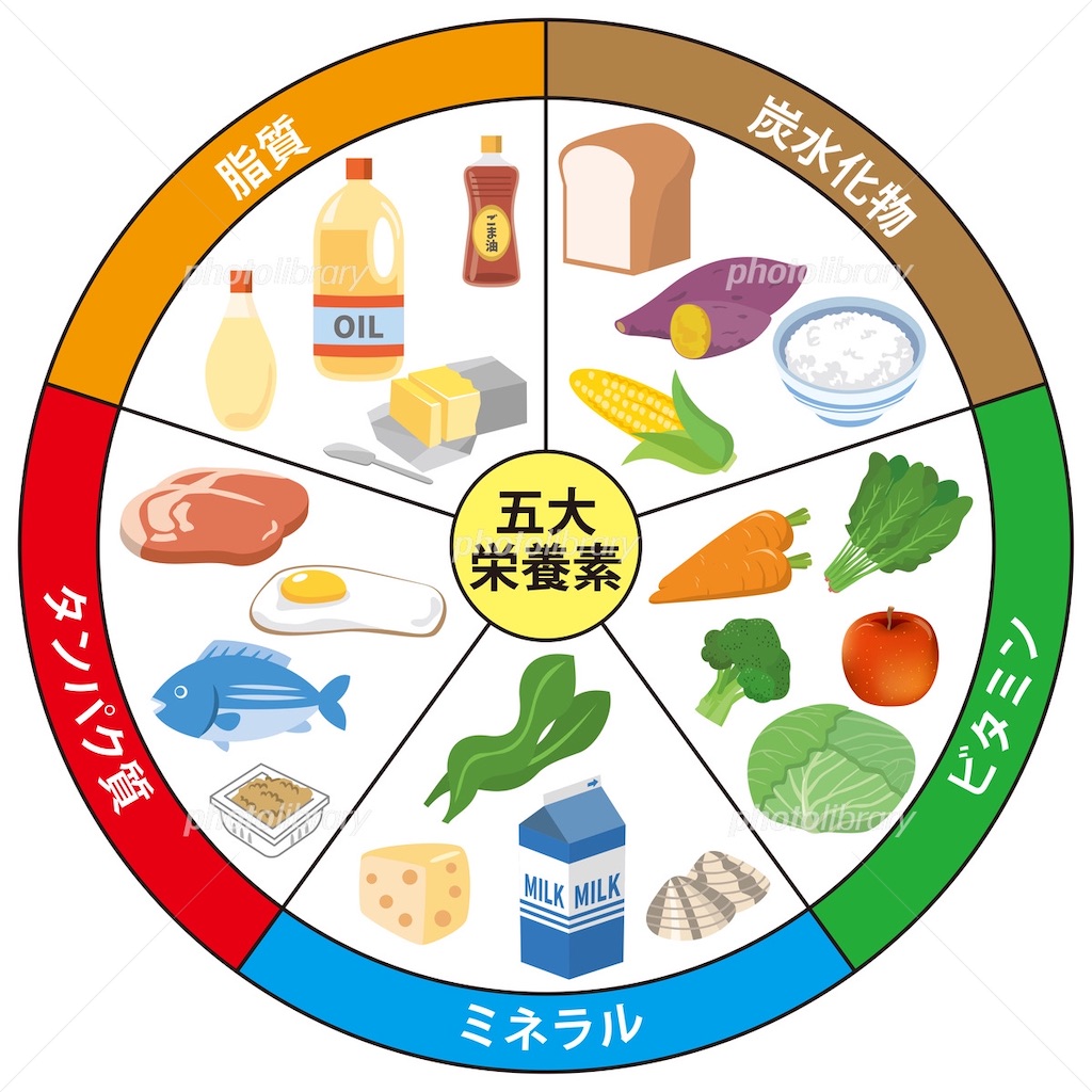 f:id:ryorx1104:20200202190645j:image