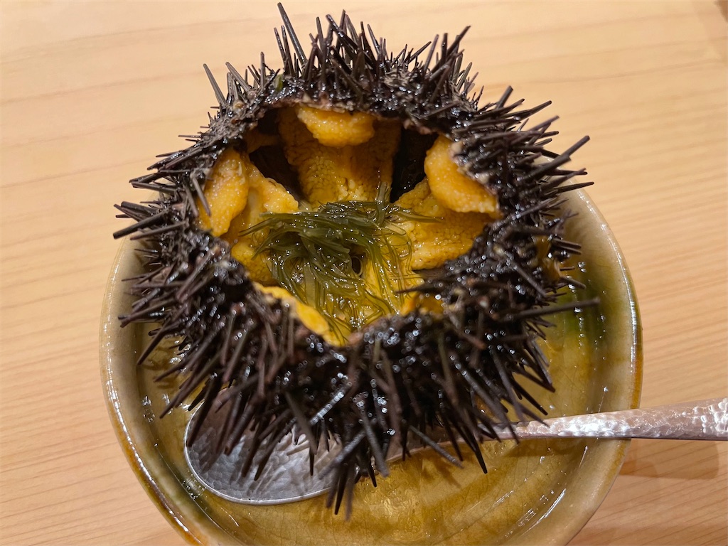 f:id:ryoshimokita:20210621221107j:image f:id:ryoshimokita:20210621221107j:image