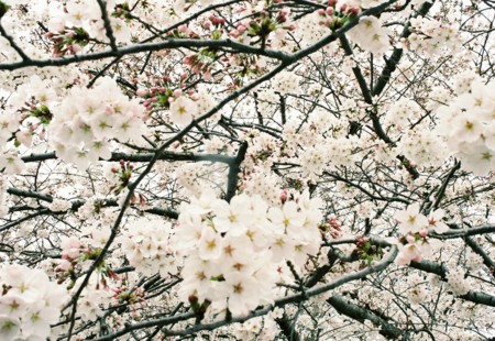 f:id:ryot0:20110420082857j:image