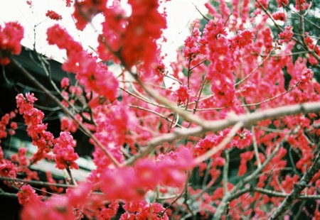 f:id:ryot0:20110420082858j:image