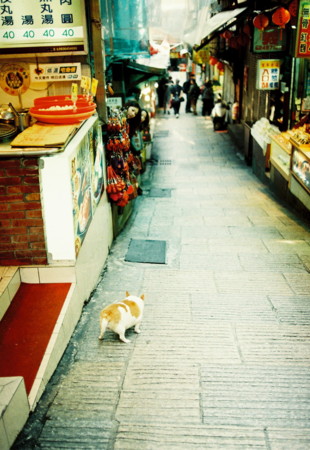 f:id:ryot0:20110420083235j:image
