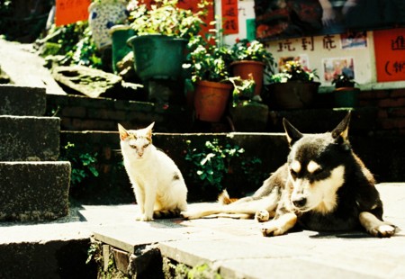 f:id:ryot0:20110420083236j:image