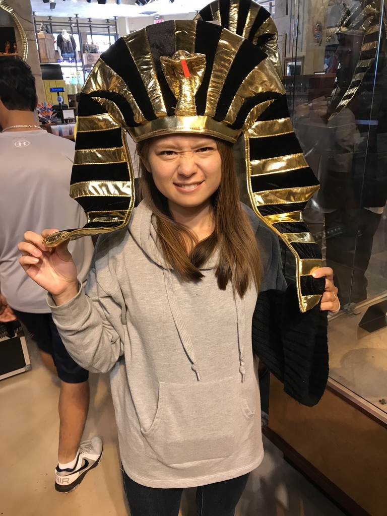 f:id:ryota-a-world:20190220213309j:plain