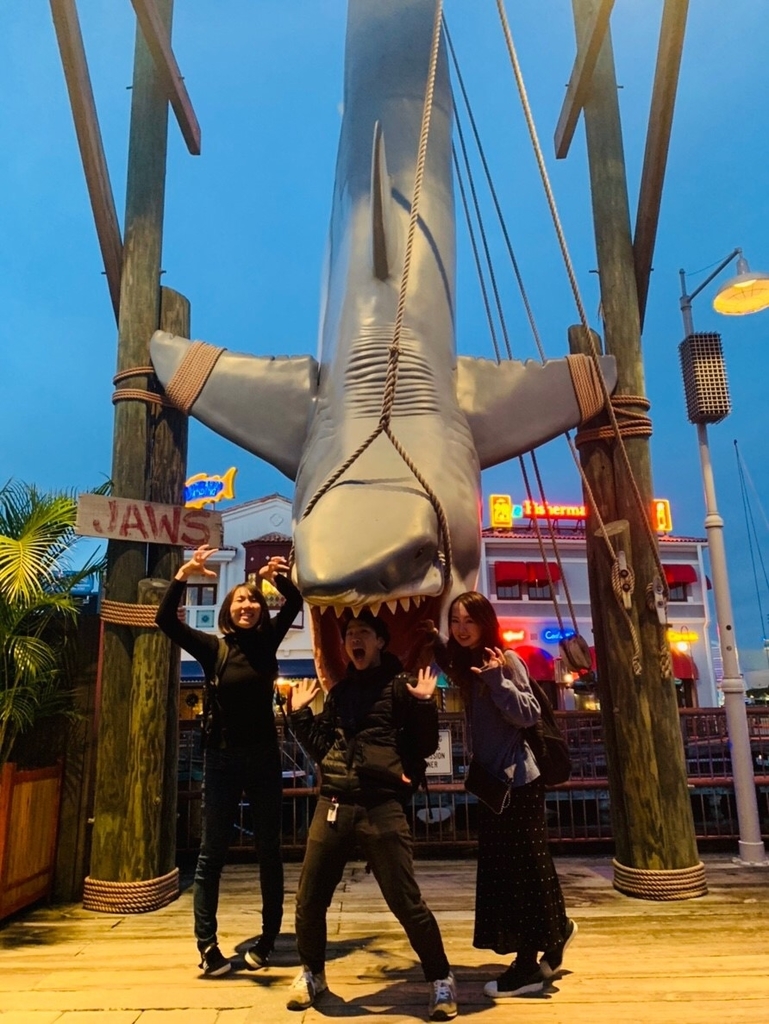 f:id:ryota-a-world:20190220213446j:plain